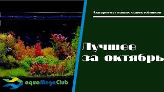Лучшие баночки октября в ваших домах