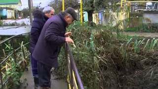 Сельское утро 27 декабря 2014 года