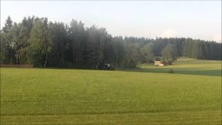 Abendflug T-Rex 700E