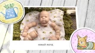ОТКРЫВАЕМ ПОСЫЛКУ С НОВЫМ МОЛДОМ . ОБЗОР Покупок . Сколько стоит МОЛД ? Цена ?