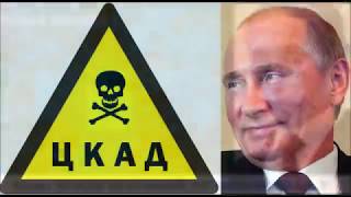Всё о ЦКАД