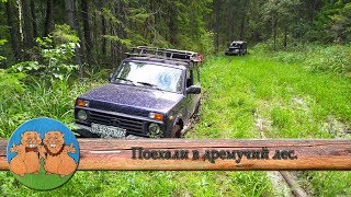 В поисках лопаты. Едем в дремучий лес с непроходимыми болотами на ГАЗ 69 и Нива Урбан. Грязи нет:)