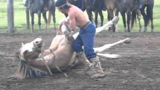 Horse Skills of the Gauchos of Argentina