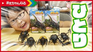えいしんのひとりレビュー&寸劇！ 4回目 昆虫の森 大カブトムシ祭り を開封！ | まえちゃんねる