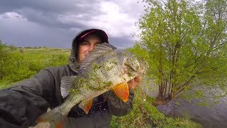 Ловля конского ОКУНЯ из под ондатры! Карась на микроджиг! ВОТ ЭТО ОКУНИ!!!