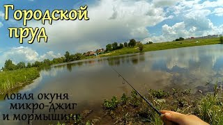МИКРОДЖИГ и МОРМЫШИНГ - ГОРОДСКОЙ ОКУНЬ!