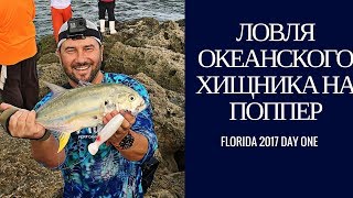 Ловля океанского хищника на поппер. Флорида Декабрь 2017. День первый.