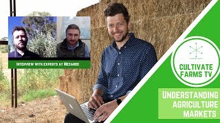 Understanding agriculture markets | Interview with experts at Mecardo