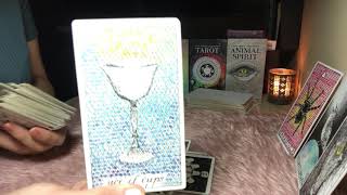 #TAURUS~”HOLD YOUR HORSES, SLOW DOWN AND THINK”~Weekly Messages
