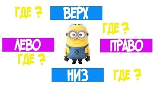 Учим где право, где лево, где верх, где низ! ТИПАТУ Кидз