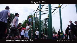 Pagoda 25