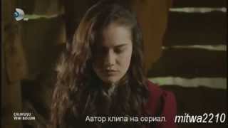 Если это не любовь... / Calikusu Королек - птичка певчая