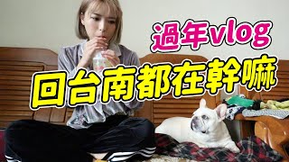 過年回台南都在幹嘛？唉，阿肥減肥失敗了?feat.阿肥｜一隻阿圓