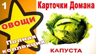 Карточки Домана Овощи часть 1