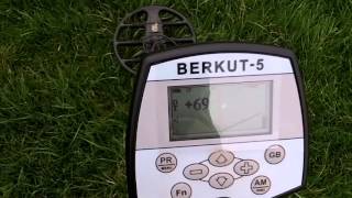 Aka Berkut-5 metal detector - Test run at a local park