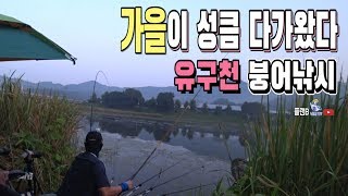 가을이 성큼 다가온 유구천 붕어낚시