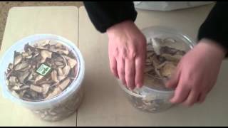 BOLETUS SECOS