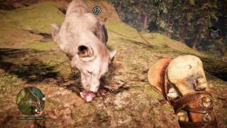 FAR CRY PRIMAL DUAL CORE GT730