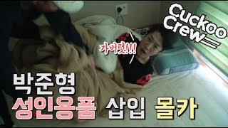 [19금]쿠쿠크루에게 성인용품을 쥐어주면 일어나는 일 ― 쿠쿠크루(Cuckoo Crew)
