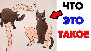 Лютые приколы.ЧТО ЭТО ТАКОЕ ? . Приколы