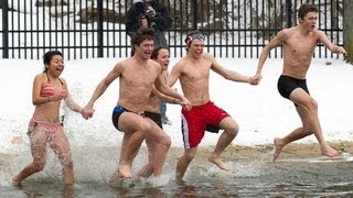 (Polar Bear) Plunge Like a Champion