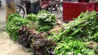 Fresh Vegetable and Fruits in Bangladesh Market