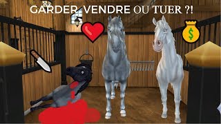 JE SUIS UNE MEURTRIERE !!! tag star stable/ Garder, Vendre ou TUER ?!