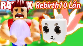 Roblox - Code Mới Update Rebirth 10 Và Con Pet Monster Fox Legendary | Pet Ranch Simulator