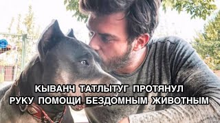 КЫВАНЧ ТАТЛЫТУГ ПРОТЯНУЛ РУКУ ПОМОЩИ БЕЗДОМНЫМ ЖИВОТНЫМ. Кыванч Татлытуг. Kıvanç Tatlıtuğ.