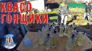 ДЕЛАЕМ КВАС-Шампанское ИЗ БЕРЕЗОВОГО СОКА I ДЕДУШКИН старинный РЕЦЕПТ !!!