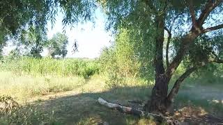 Запорожье с города так просто не уехать 05.07.2022