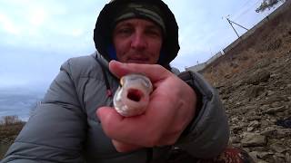 рыбалка на кубани рыбалка кубань крымский район рыбалка варнавенское водохранилище сбрасной канал