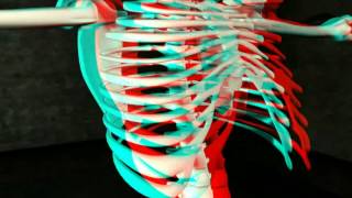 3D anaglyph video