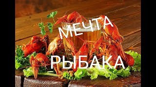 Китайские РАКАЛОВКИ Как поймать БОЛЬШИЕ РАКИ Проходят МИМО Ловля Раков Крабов