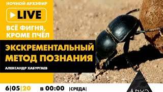 Ночной АРХЭфир «Все фигня, кроме пчел». «Обо всём, кроме мочи или "Экскрементальный метод познания"»