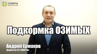 НЕ ВНОСИ ПОДКОРМКУ ОЗИМЫХ пока не посмотришь это видео