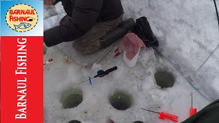 БЕШЕНЫЙ КЛЕВ НА КОРОМЫСЛО.РЫБАЛКА 2020.ЛОВЛЯ ПОДЛЕЩИКА