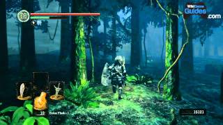 Dark Souls Walkthrough - Dark Souls Guide - Darkroot Garden: Getting the Stone Armor