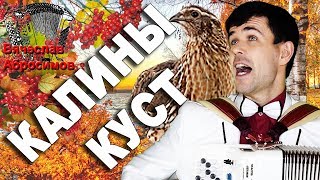 ?КАКОЙ ГОЛОС!!!?Аж, мурашки по телу!  (Калины куст под баян)