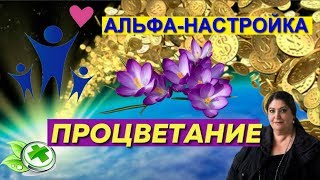 Альфа Настройка "Процветание" от Ирины  Белозерской