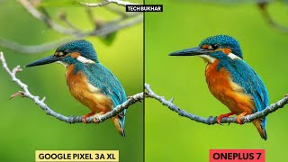 Google Pixel 3A XL vs Oneplus 7 Camera Comparison Test || #oneplus7, #pixel3axl #TECHBUKHAR