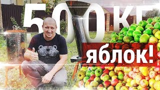 Самогон из яблок или белый кальвадос.