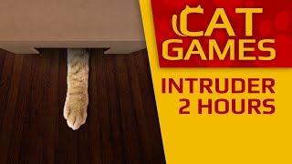 CAT GAMES - ? INTRUDER 4K 60FPS (VIDEOS FOR CATS TO WATCH) 2 HOURS