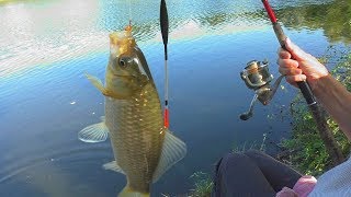 Рыбалка для души. Ловля карася  на поплавок (манка и перловка). My fishing