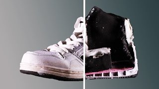 What Objects Look Like Cut In Half