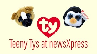 Teeny Tys at newsXpress