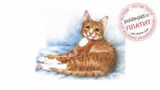 Нарисованные кошки видео  Как нарисовать красивую рыжую кошку карандашом за 21 секунду