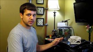 hydor theo heater review
