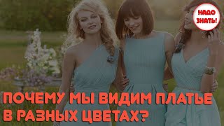 Почему мы видим платье в разных цветах?