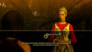 Dungeon Siege III 13